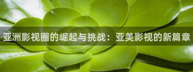 金桔视频