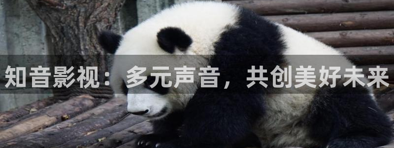 av金桔影院