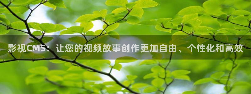 金桔视频大全