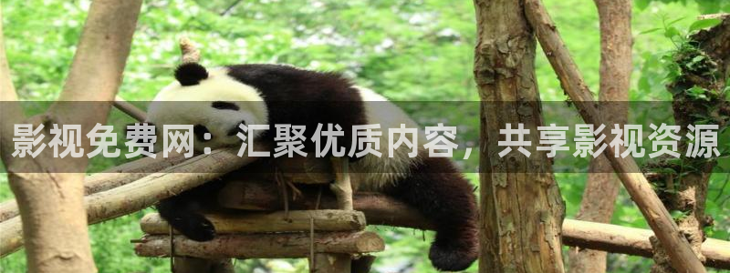 金桔影视app下载