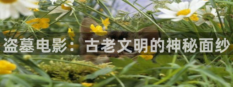金桔影视网：盗墓电影：古老文明的神秘面纱